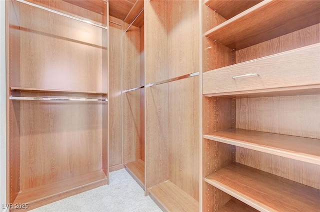 9632 Cherry Canyon Ave, Las Vegas, NV 89129 - spacious closet with carpet floors