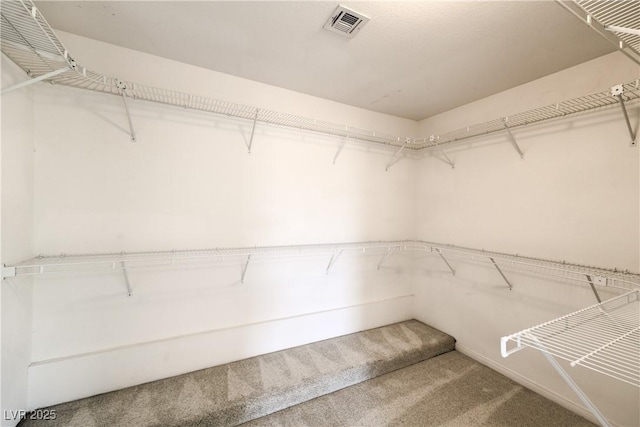 2728 Aspen Wood Ave, Henderson, NV 89074 - walk in closet with carpet floors