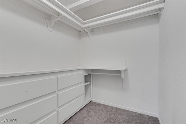 6808 Waterhen Cir, Las Vegas, NV 89108 - walk in closet featuring carpet flooring