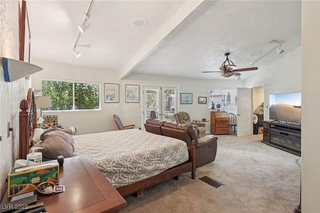 55 Siddall Ave, Las Vegas, NV 89183 - bedroom featuring track lighting, carpet floors, and multiple windows