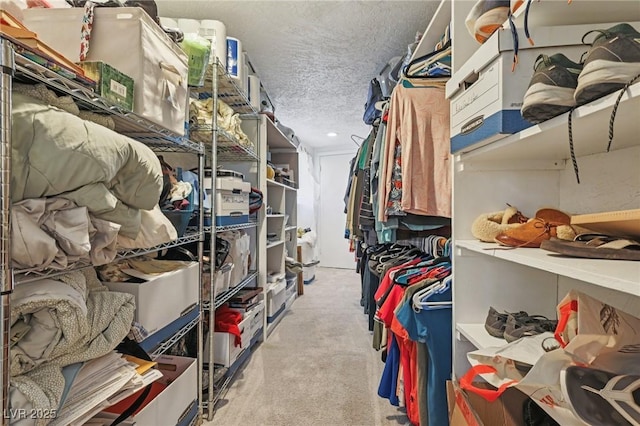 55 Siddall Ave, Las Vegas, NV 89183 - spacious closet with carpet