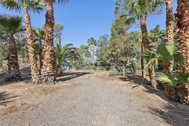 55 Siddall Ave, Las Vegas, NV 89183 - view of dirt / gravel driveway