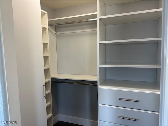 248 Crystal Rose Ct, Las Vegas, NV 89106 - view of spacious closet