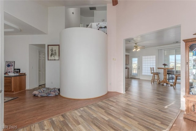 3821 Tumbleweed Ave, Pahrump, NV 89048 - interior space with a ceiling fan, a towering ceiling, and light wood-style floors