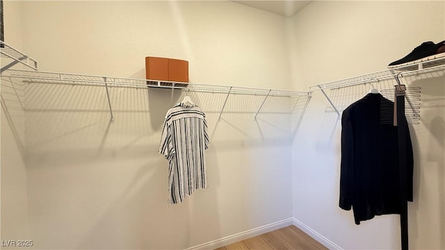 739 Wild Highlands Ln, Henderson, NV 89015 - walk in closet featuring light wood-style floors