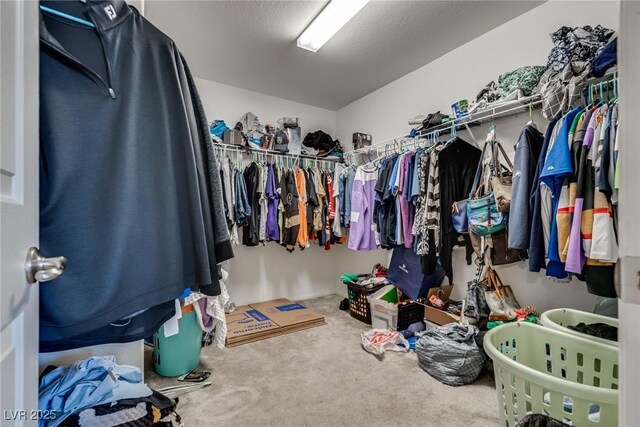 889 Harbor Ave, Henderson, NV 89002 - walk in closet with carpet