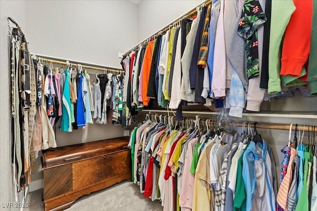 251 Castellari Dr, Las Vegas, NV 89138 - walk in closet featuring carpet floors