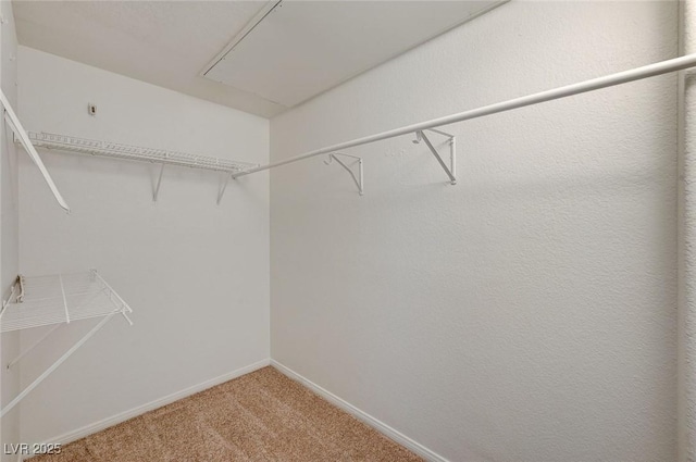 10550 W Alexander Rd Unit 2220, Las Vegas, NV 89129 - photo 32