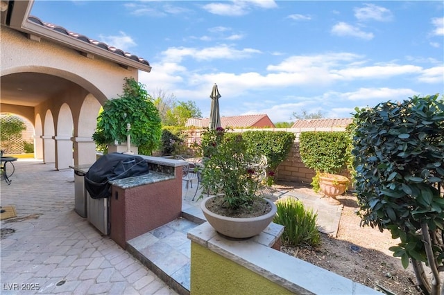 12276 Caminita Pl, Las Vegas, NV 89138 - fenced backyard with exterior kitchen and a patio