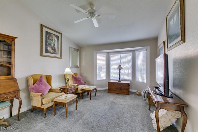 8808 Litchfield Ave, Las Vegas, NV 89134 - photo 31