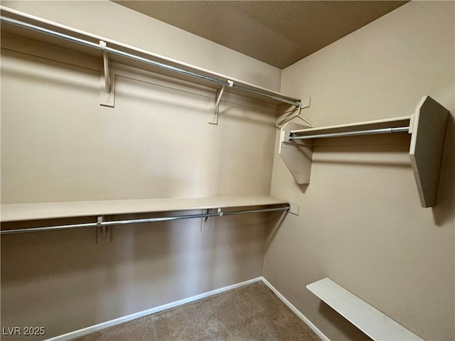 9165 Beauchamp Ave, Las Vegas, NV 89148 - walk in closet featuring carpet
