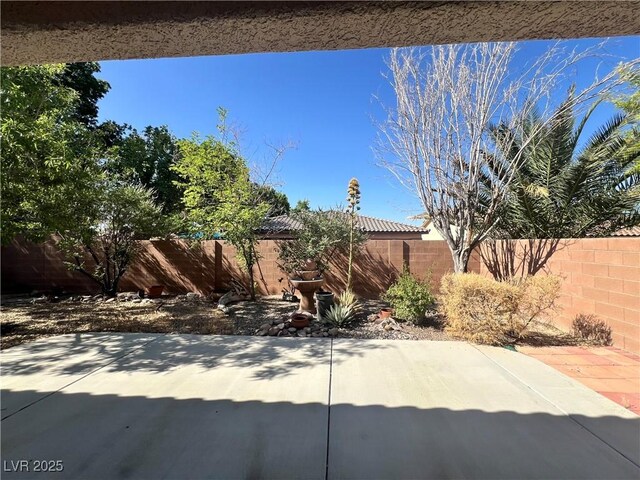 5439 E Cansano St, Pahrump, NV 89061 - photo 33
