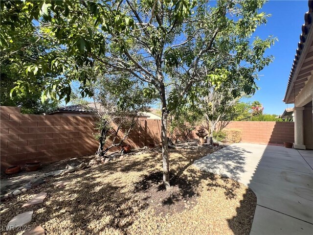 5439 E Cansano St, Pahrump, NV 89061 - photo 34