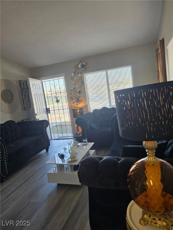 1713 Fairfield Ave, Las Vegas, NV 89102 - living room featuring healthy amount of natural light and wood finished floors
