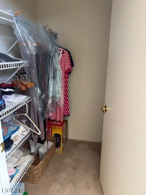 10036 Keysborough Dr, Las Vegas, NV 89134 - spacious closet with carpet flooring