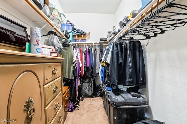 135 Manor House Ave, Las Vegas, NV 89123 - photo 29