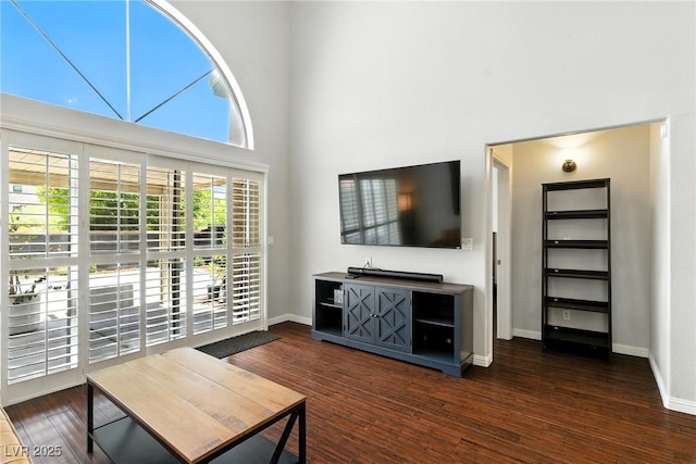 620 Painted Cloud Pl, Las Vegas, NV 89144 - living area with a towering ceiling and wood finished floors
