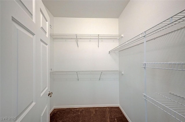 2050 W Warm Springs Rd Unit 4512, Henderson, NV 89014 - spacious closet with carpet flooring