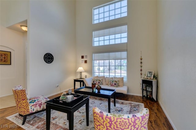 10952 Porto Foxi St, Las Vegas, NV 89141 - living room with a high ceiling, healthy amount of natural light, and wood finished floors