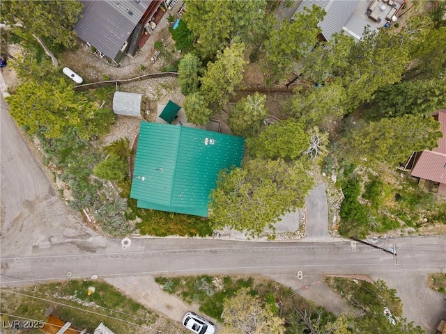 401 Alpine Way, Mount Charleston, NV 89124 - aerial overview of property's location