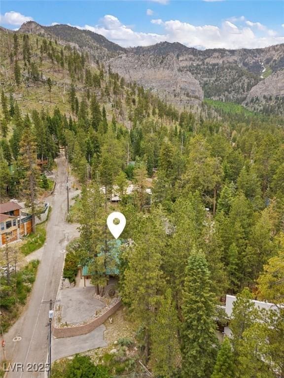 401 Alpine Way, Mount Charleston, NV 89124 - view of mountain background featuring a forest