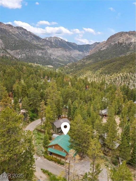 401 Alpine Way, Mount Charleston, NV 89124 - mountain view featuring a forest
