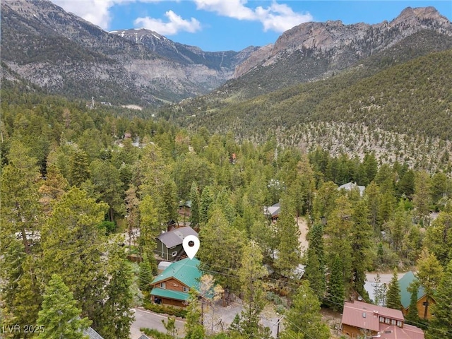 401 Alpine Way, Mount Charleston, NV 89124 - view of mountain background featuring a forest