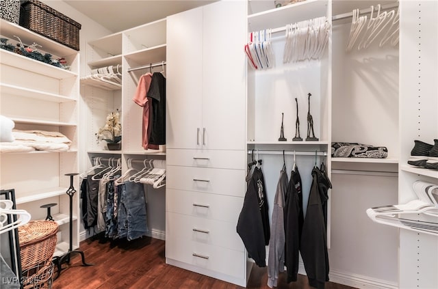10331 Rio De Thule Ln, Las Vegas, NV 89135 - spacious closet featuring dark wood-style flooring
