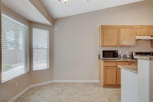 1981 Spring Lake Dr, Henderson, NV 89002 - kitchen featuring stainless steel microwave, under cabinet range hood, range, and healthy amount of natural light