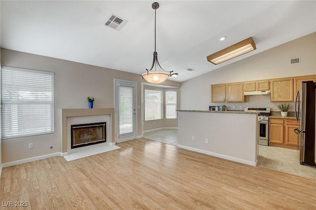 1981 Spring Lake Dr, Henderson, NV 89002 - kitchen featuring appliances with stainless steel finishes, under cabinet range hood, lofted ceiling, light wood-style floors, and a tile fireplace