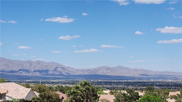 2904 Bow Bridge Dr, Las Vegas, NV 89134 - photo 14