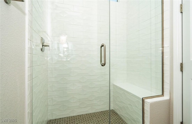 7199 Twilight Rider Ct, Las Vegas, NV 89118 - full bath with a shower stall