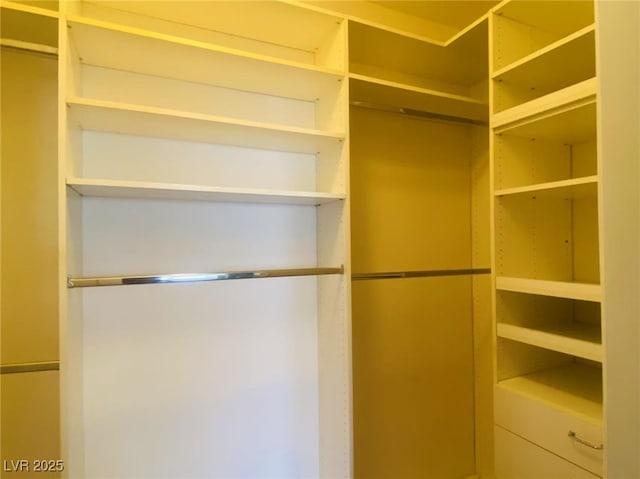 908 Duckhorn Ct Unit 102, Las Vegas, NV 89144 - view of spacious closet