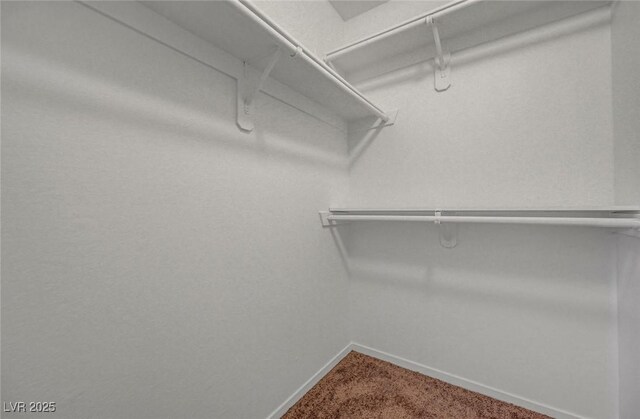 5161 Lindell Rd Unit 206, Las Vegas, NV 89118 - spacious closet featuring carpet floors