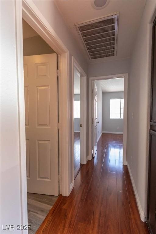 5461 Dungaree St, Las Vegas, NV 89118 - photo 38