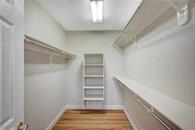 10198 Timber Willow Ave, Las Vegas, NV 89135 - walk in closet with light wood-style flooring