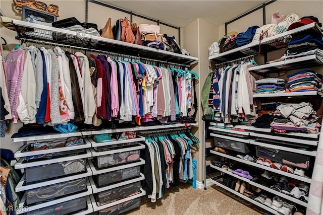 1717 Jake Andrew Ave, North Las Vegas, NV 89086 - walk in closet with carpet