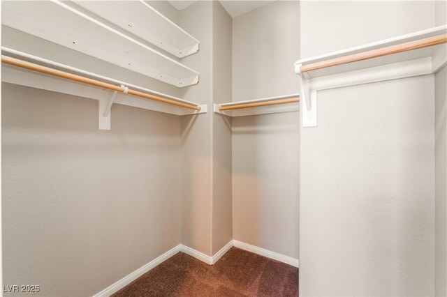 11901 Luna Del Mar Ln, Las Vegas, NV 89138 - spacious closet featuring carpet