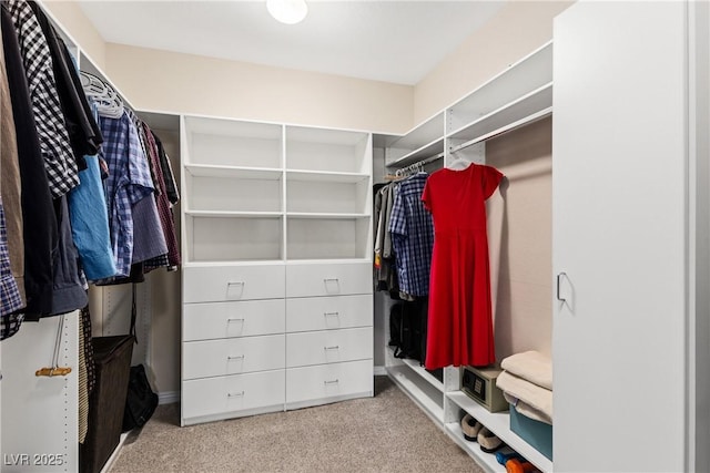 6413 White Tiger Ct, Las Vegas, NV 89130 - spacious closet featuring carpet floors