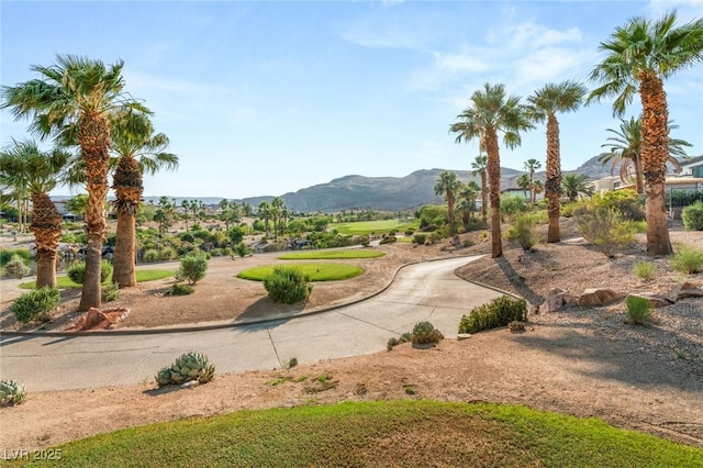 3093 Red Arrow Dr, Las Vegas, NV 89135 - photo 46