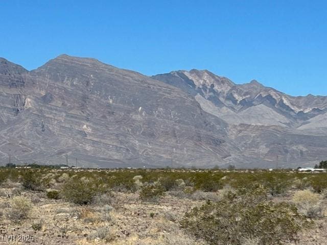 743 E Hildajane Way, Amargosa Valley, NV 89020 - photo 18