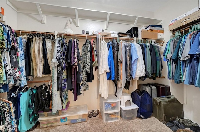 2779 Kindeace Ave, Henderson, NV 89044 - walk in closet with carpet flooring