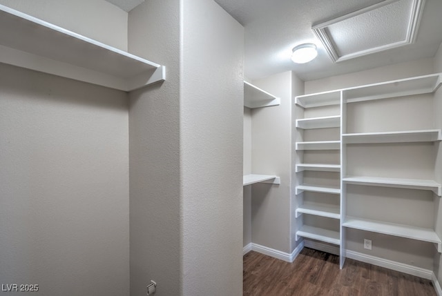 7619 Comanche Canyon Ave, Las Vegas, NV 89113 - spacious closet featuring attic access and wood finished floors