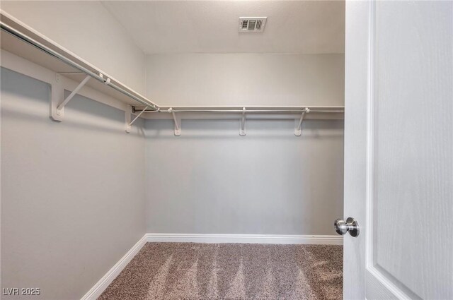 5732 Hornbrook St, North Las Vegas, NV 89031 - walk in closet with carpet floors