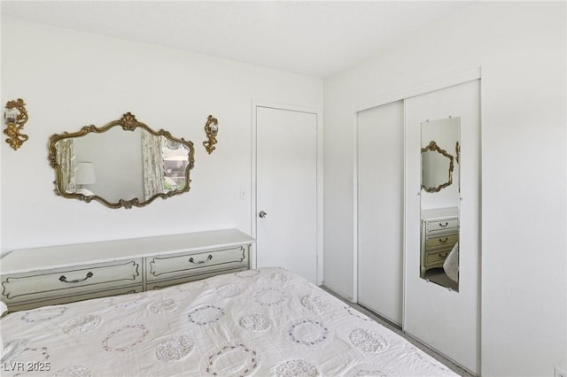 4027 Maple Hill Rd, Las Vegas, NV 89115 - bedroom with a closet