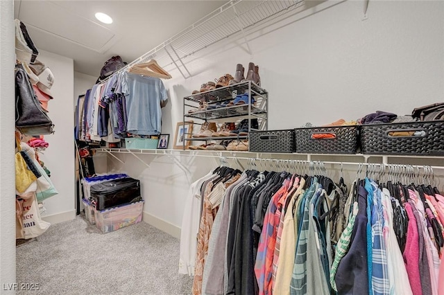 189 Andada Dr, Henderson, NV 89012 - walk in closet featuring attic access and carpet flooring