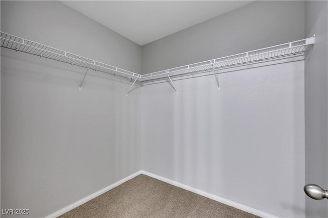 6678 Crystal Run Ln, Las Vegas, NV 89122 - walk in closet featuring carpet flooring