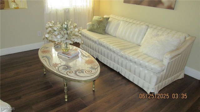 1504 Andrew David Ave, North Las Vegas, NV 89086 - living room featuring wood finished floors