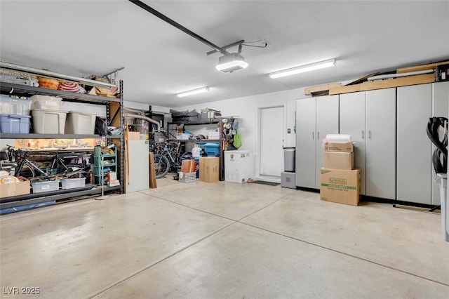 9909 Masked Duck Ave, Las Vegas, NV 89117 - garage featuring a garage door opener