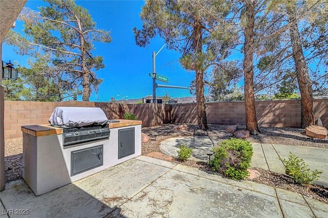 2059 Joy View Ln, Henderson, NV 89012 - fenced backyard featuring area for grilling and a patio